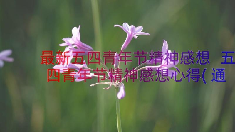 最新五四青年节精神感想 五四青年节精神感想心得(通用16篇)