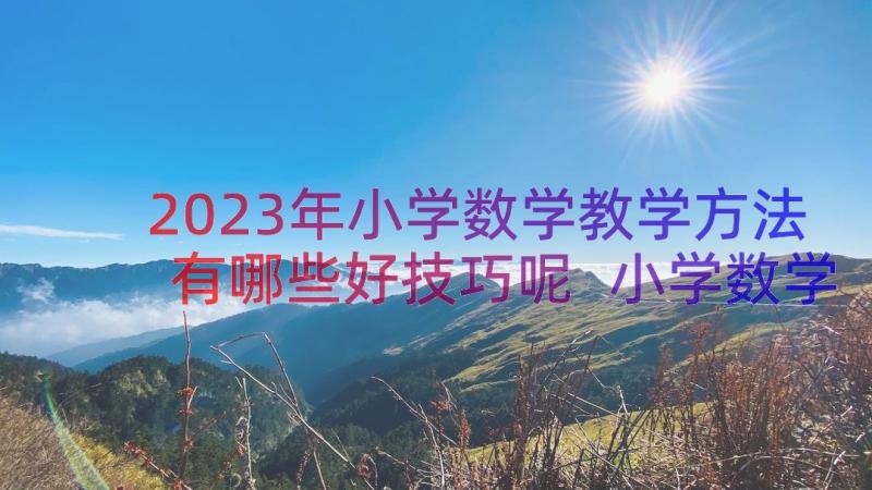 2023年小学数学教学方法有哪些好技巧呢 小学数学教学方法有哪些好技巧(模板8篇)