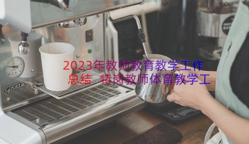 2023年教师教育教学工作总结 特岗教师体育教学工作总结(汇总8篇)