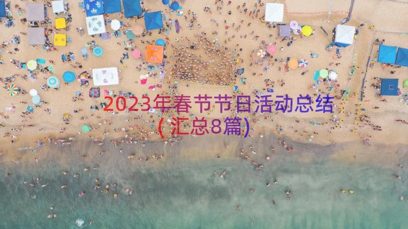 2023年春节节日活动总结(汇总8篇)