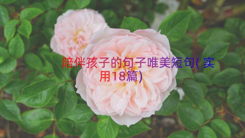 陪伴孩子的句子唯美短句(实用18篇)