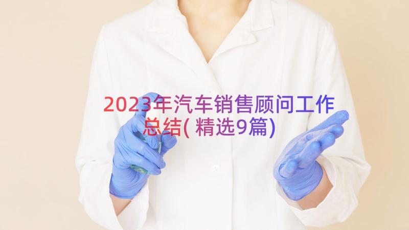 2023年汽车销售顾问工作总结(精选9篇)