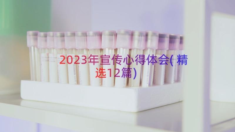 2023年宣传心得体会(精选12篇)