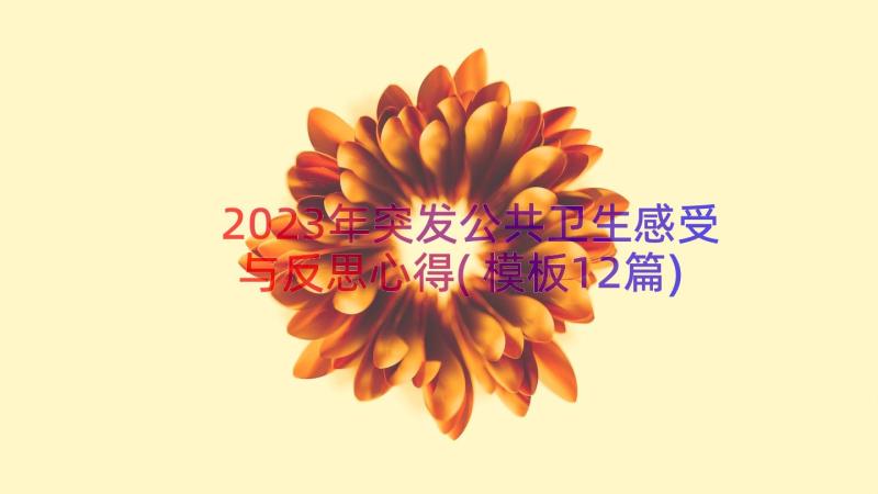 2023年突发公共卫生感受与反思心得(模板12篇)