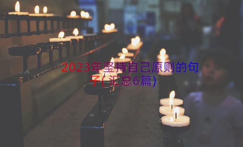 2023年坚持自己原则的句子(汇总6篇)