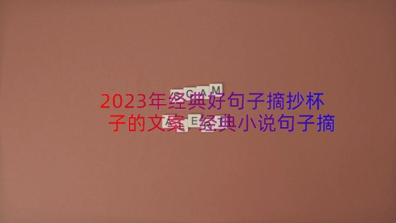 2023年经典好句子摘抄杯子的文案 经典小说句子摘抄(实用16篇)