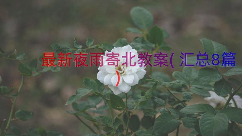 最新夜雨寄北教案(汇总8篇)