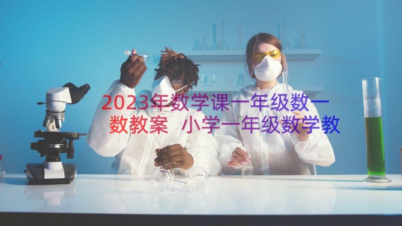 2023年数学课一年级数一数教案 小学一年级数学教案(实用9篇)