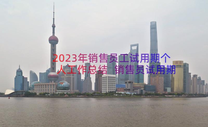 2023年销售员工试用期个人工作总结 销售员试用期个人工作总结(精选8篇)