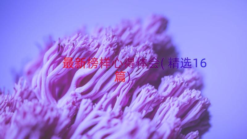 最新榜样心得体会(精选16篇)