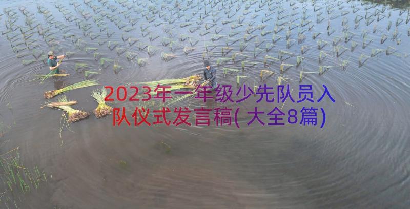 2023年一年级少先队员入队仪式发言稿(大全8篇)