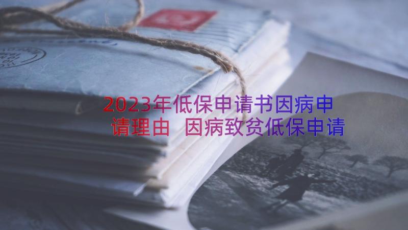 2023年低保申请书因病申请理由 因病致贫低保申请书(优秀20篇)