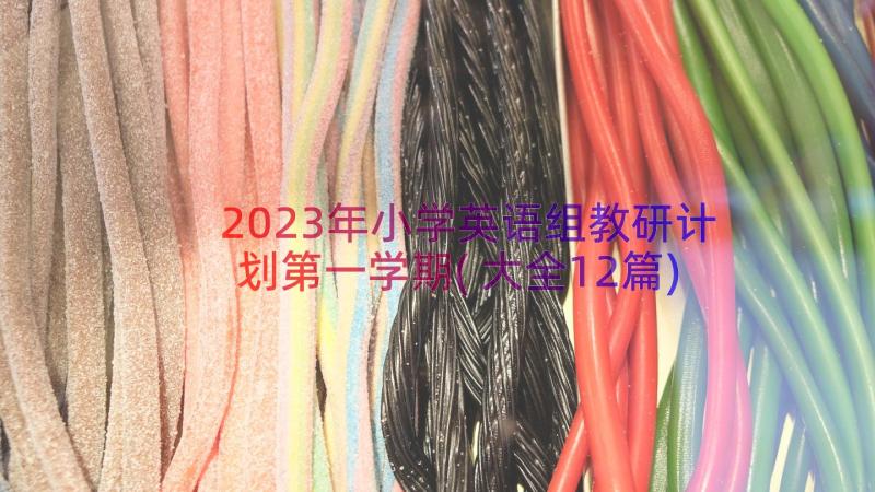 2023年小学英语组教研计划第一学期(大全12篇)