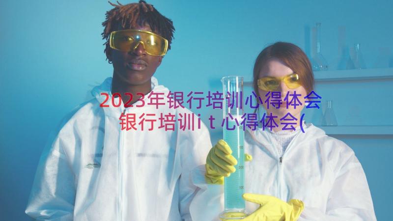 2023年银行培训心得体会 银行培训it心得体会(优秀13篇)