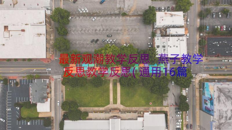 最新观潮教学反思 燕子教学反思教学反思(通用16篇)