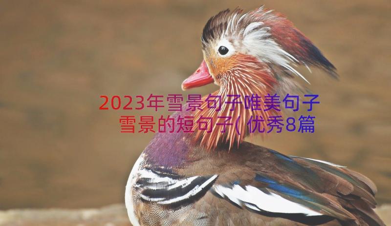 2023年雪景句子唯美句子 雪景的短句子(优秀8篇)