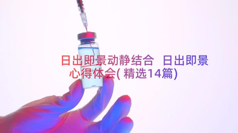 日出即景动静结合 日出即景心得体会(精选14篇)