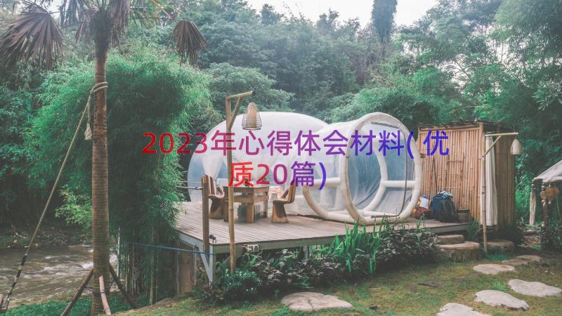 2023年心得体会材料(优质20篇)