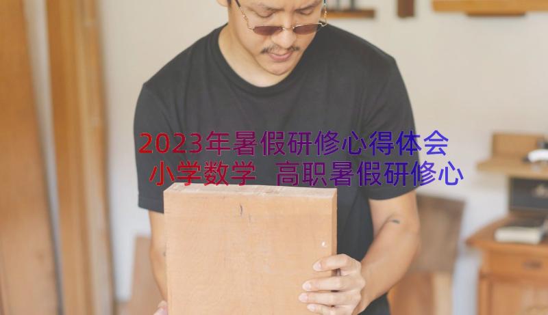 2023年暑假研修心得体会小学数学 高职暑假研修心得体会(精选17篇)