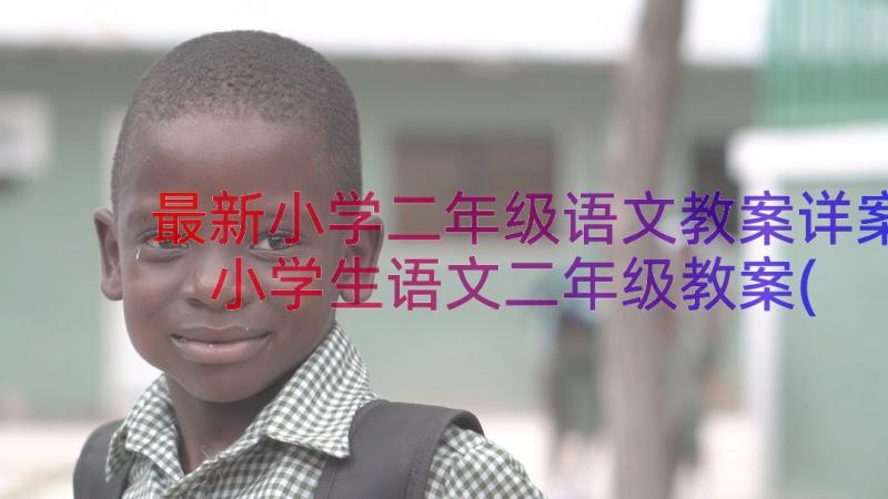 最新小学二年级语文教案详案 小学生语文二年级教案(通用7篇)