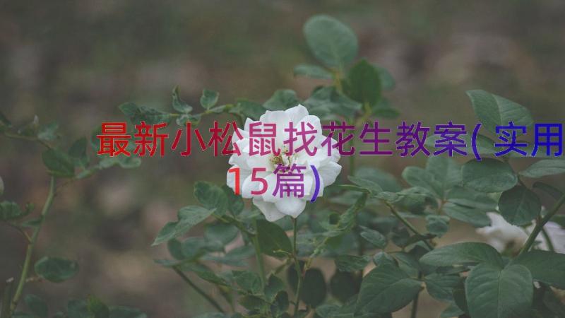 最新小松鼠找花生教案(实用15篇)