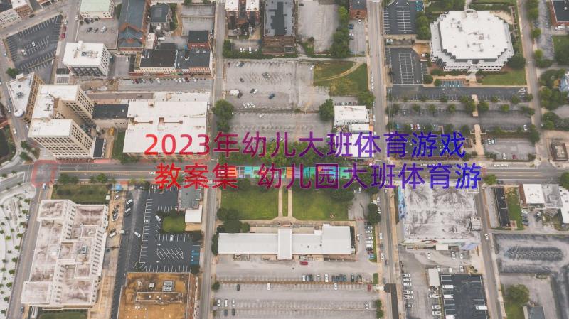 2023年幼儿大班体育游戏教案集 幼儿园大班体育游戏教案夹包跳(精选13篇)