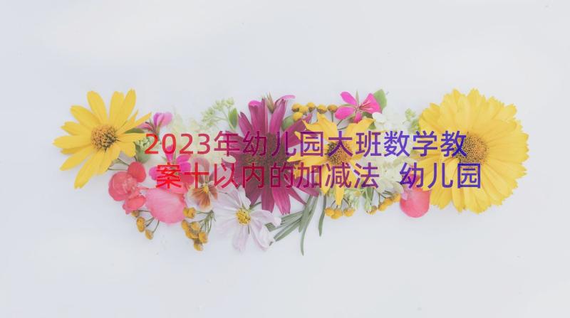 2023年幼儿园大班数学教案十以内的加减法 幼儿园大班数学加减法教案(实用8篇)