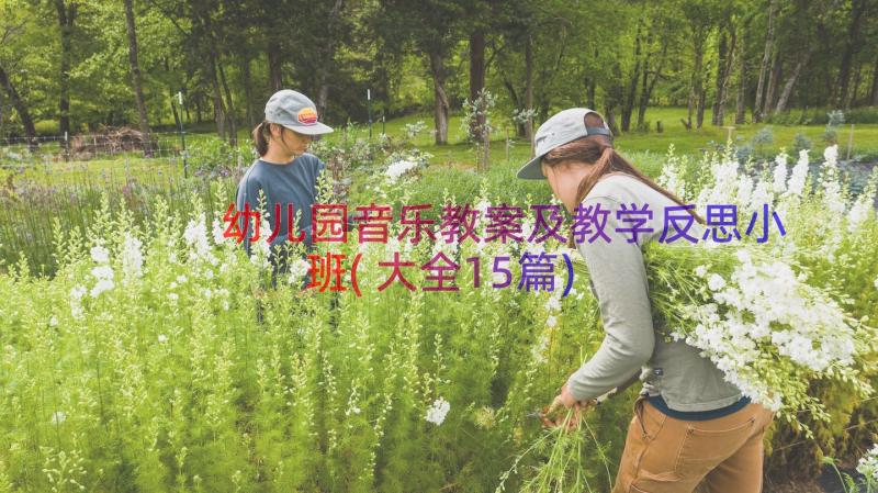 幼儿园音乐教案及教学反思小班(大全15篇)