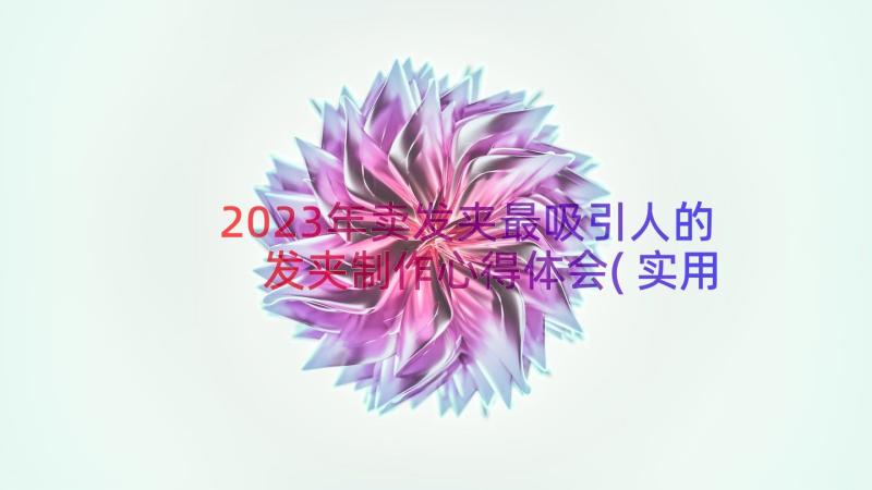 2023年卖发夹最吸引人的 发夹制作心得体会(实用10篇)