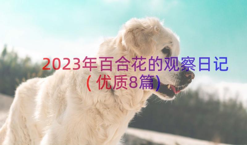 2023年百合花的观察日记(优质8篇)