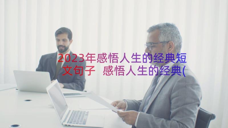 2023年感悟人生的经典短文句子 感悟人生的经典(优质12篇)