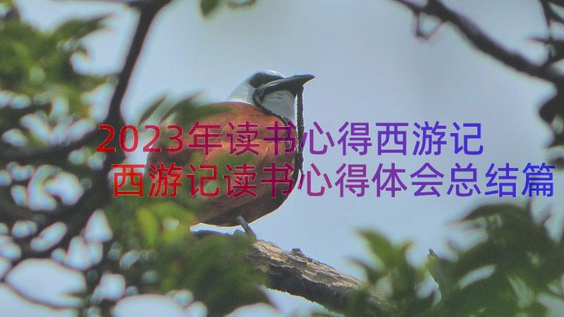 2023年读书心得西游记 西游记读书心得体会总结篇(优质8篇)