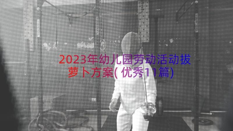 2023年幼儿园劳动活动拔萝卜方案(优秀11篇)