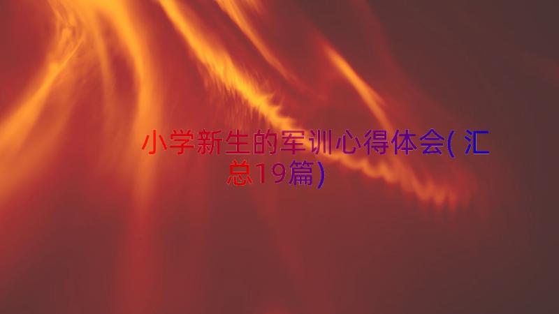 小学新生的军训心得体会(汇总19篇)