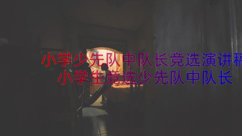 小学少先队中队长竞选演讲稿 小学生竞选少先队中队长的演讲稿(优质14篇)