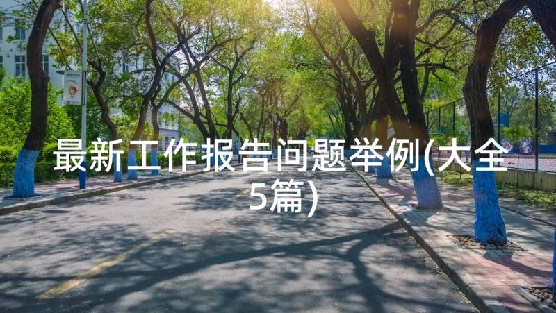 最新工作报告问题举例(大全5篇)