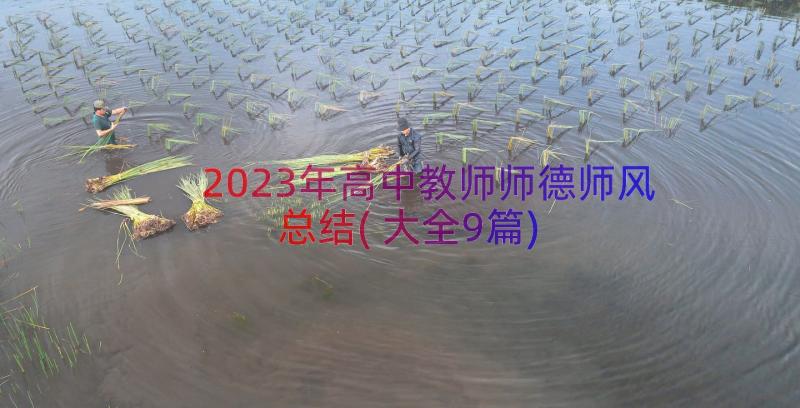 2023年高中教师师德师风总结(大全9篇)