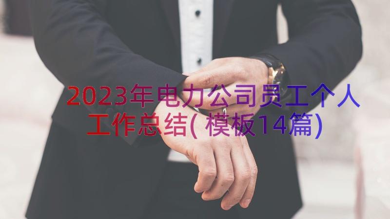 2023年电力公司员工个人工作总结(模板14篇)