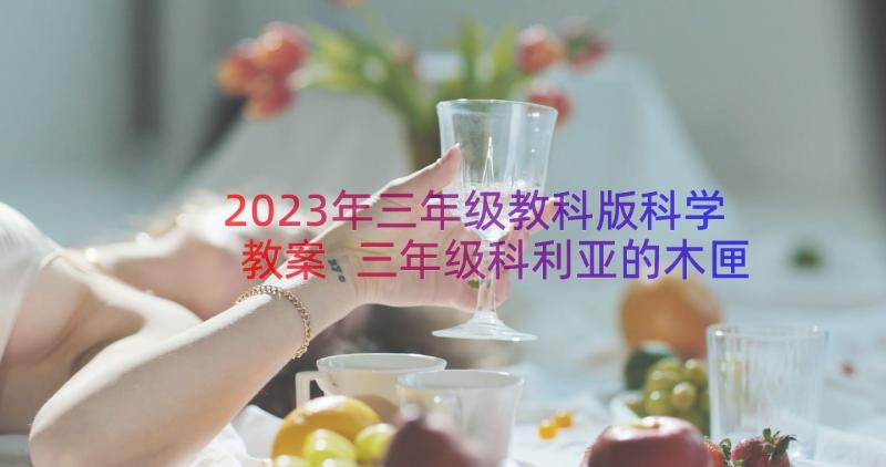 2023年三年级教科版科学教案 三年级科利亚的木匣教学反思(汇总8篇)