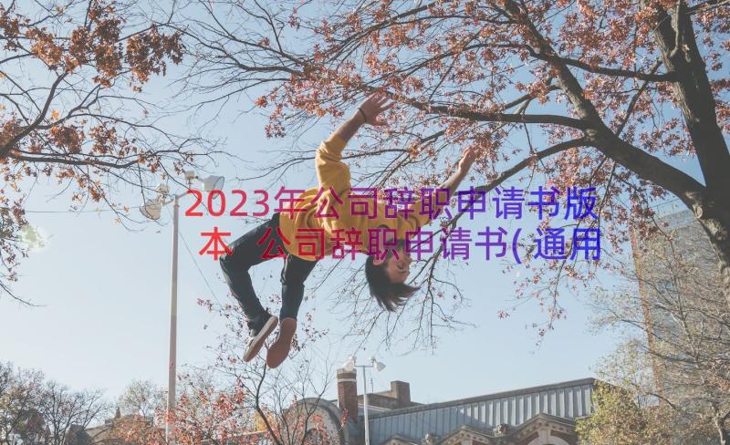 2023年公司辞职申请书版本 公司辞职申请书(通用14篇)