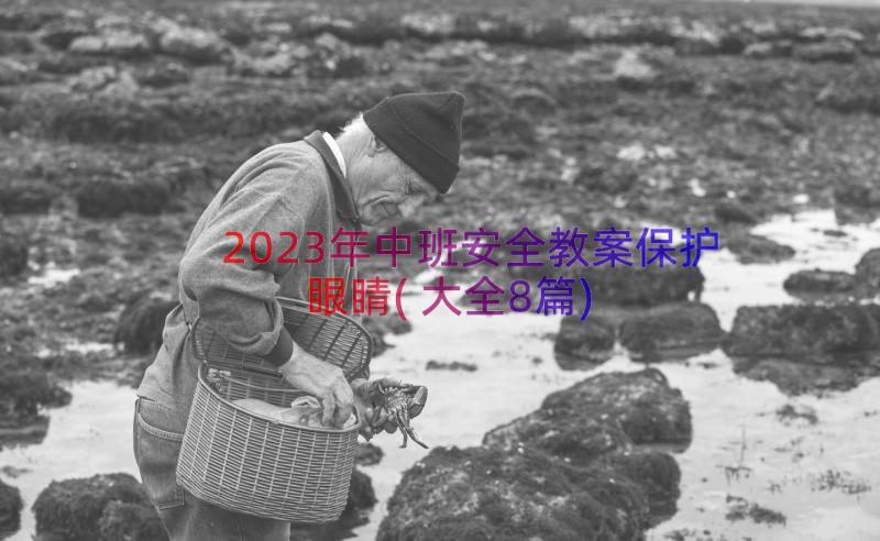 2023年中班安全教案保护眼睛(大全8篇)