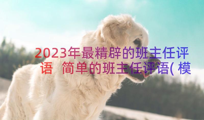 2023年最精辟的班主任评语 简单的班主任评语(模板20篇)