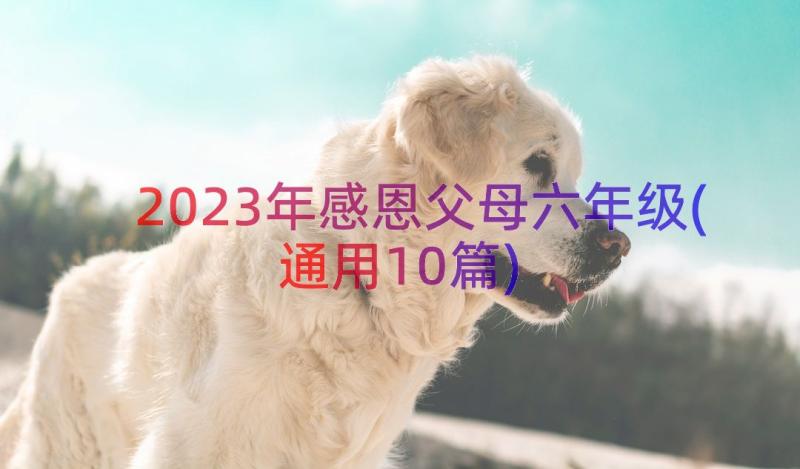 2023年感恩父母六年级(通用10篇)