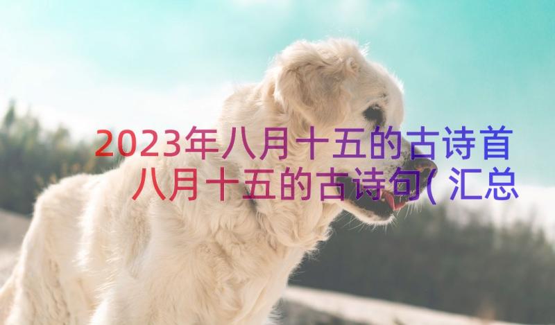 2023年八月十五的古诗首 八月十五的古诗句(汇总8篇)