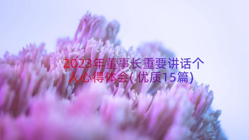 2023年董事长重要讲话个人心得体会(优质15篇)