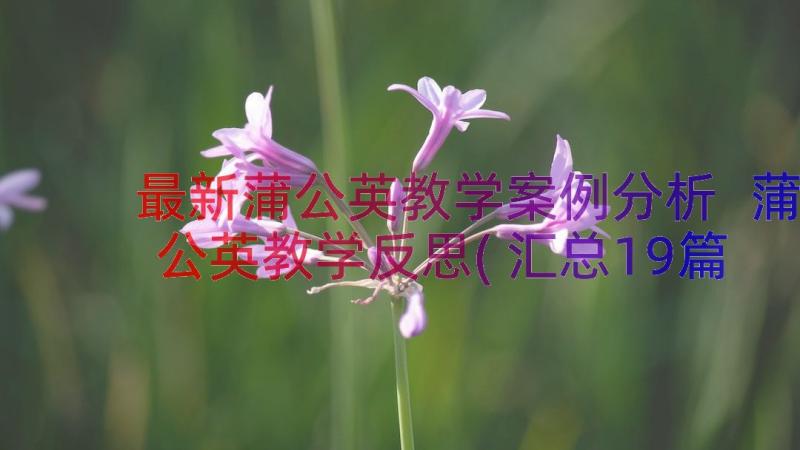 最新蒲公英教学案例分析 蒲公英教学反思(汇总19篇)