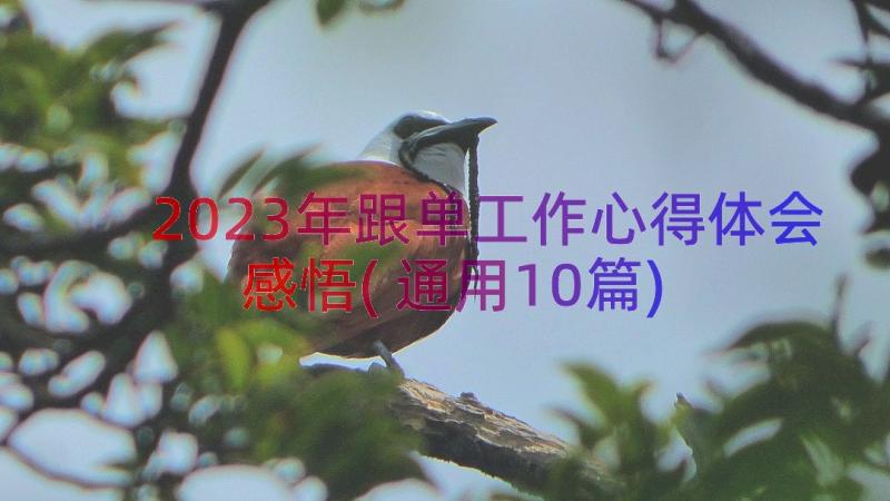 2023年跟单工作心得体会感悟(通用10篇)