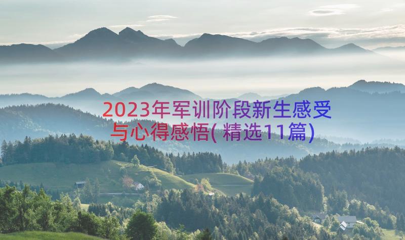 2023年军训阶段新生感受与心得感悟(精选11篇)