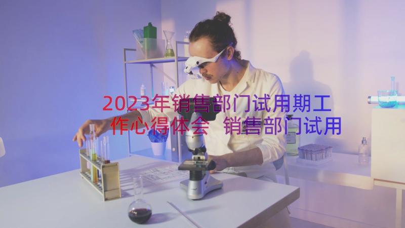 2023年销售部门试用期工作心得体会 销售部门试用期工作心得(汇总10篇)