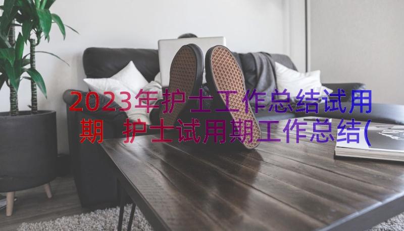 2023年护士工作总结试用期 护士试用期工作总结(汇总17篇)